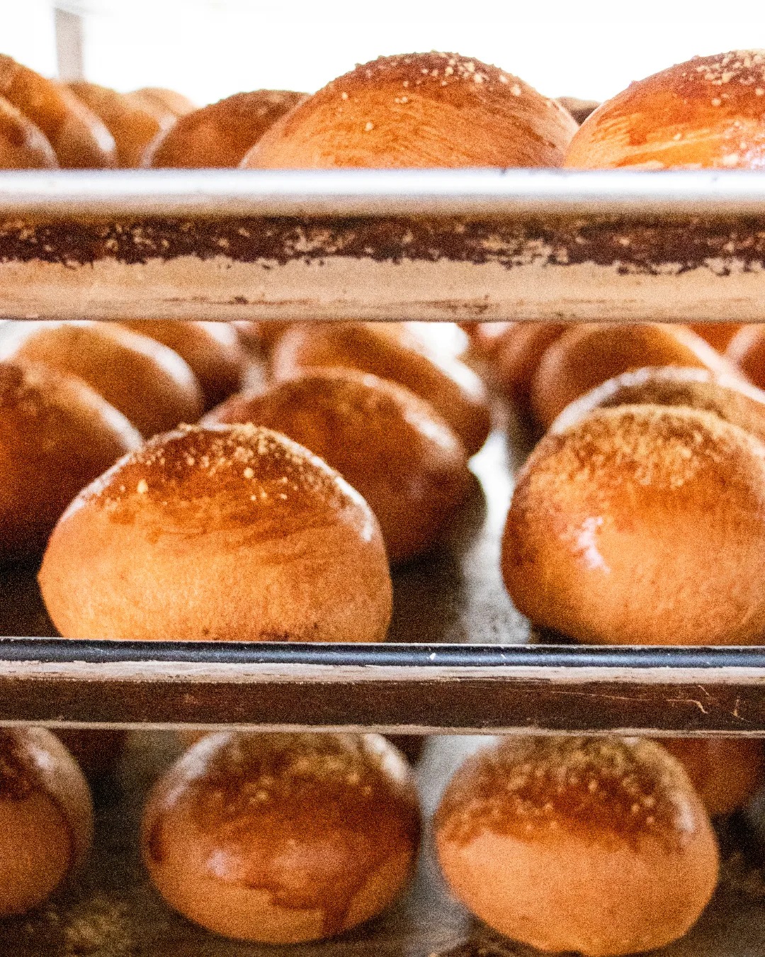 Bolillos artesanales para proveedores Querétaro