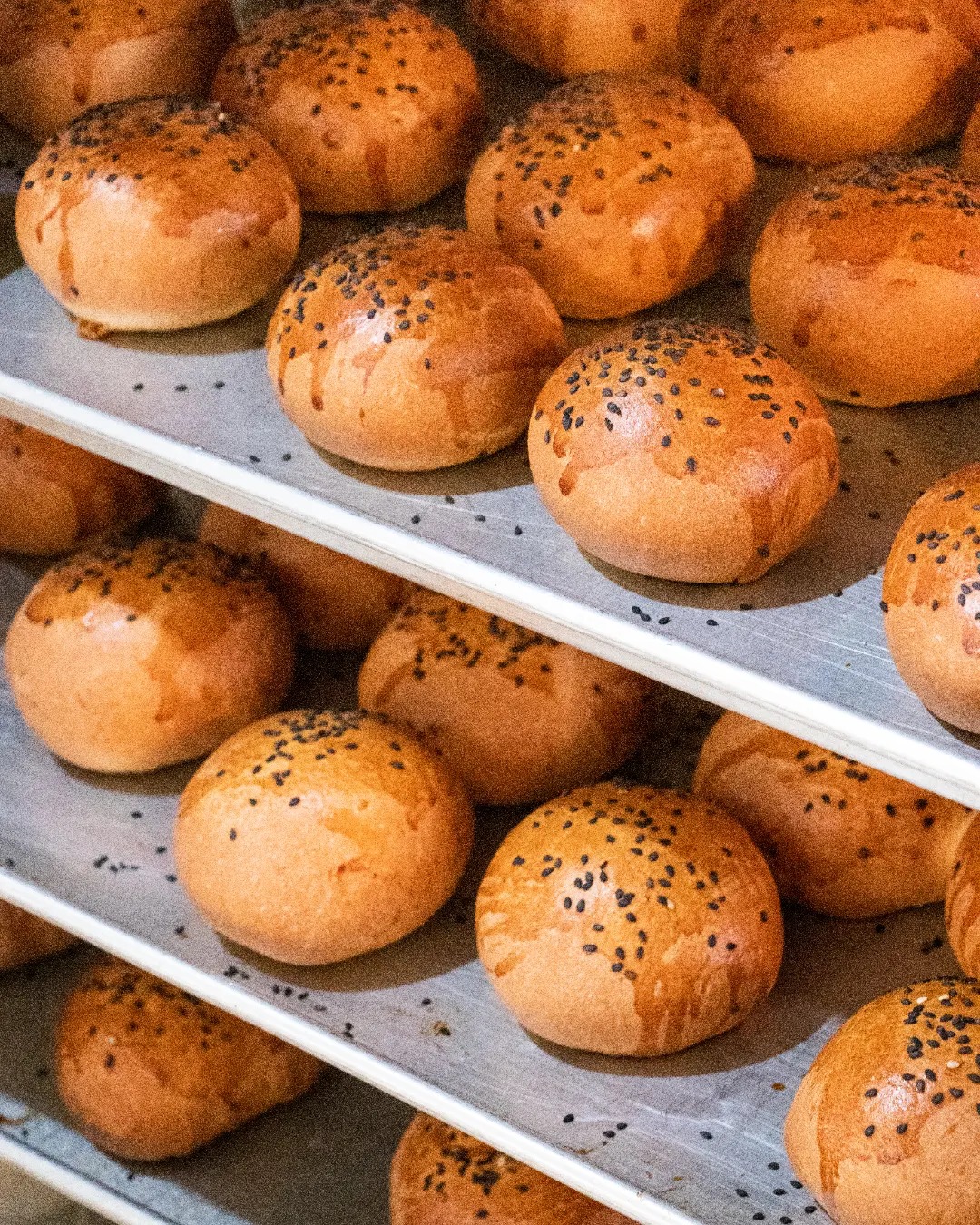 Bolillos de ajonjolí recién horneados panadería Querétaro