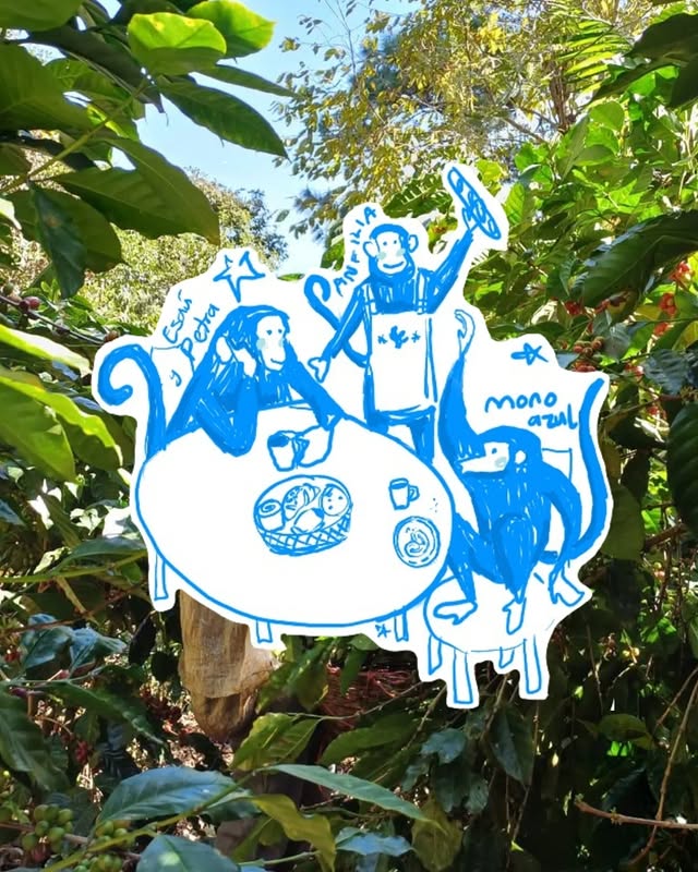 Ilustración café de origen